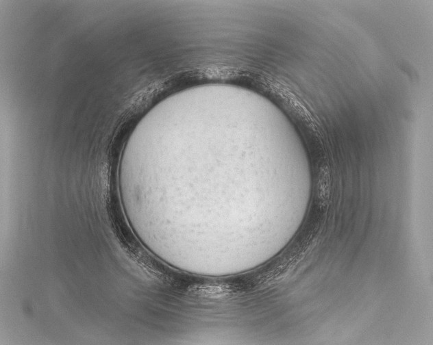 X0000115650639200912011523