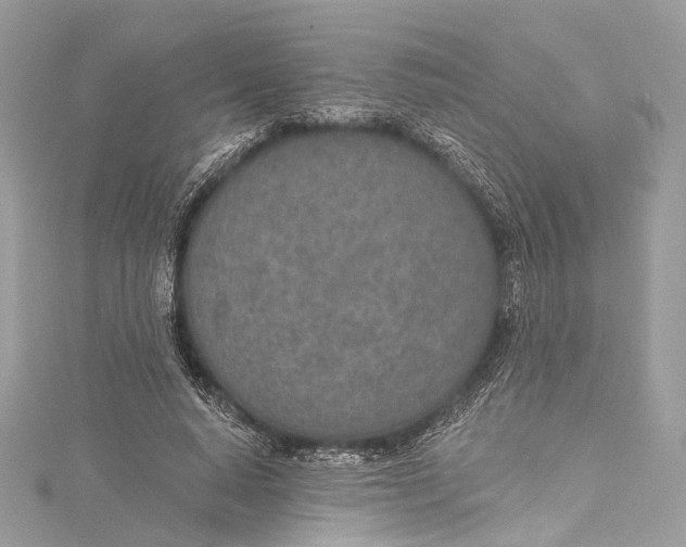 X0000115650640200912011523