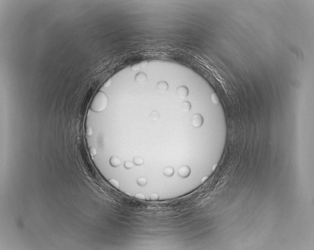 X0000115650641200912011523