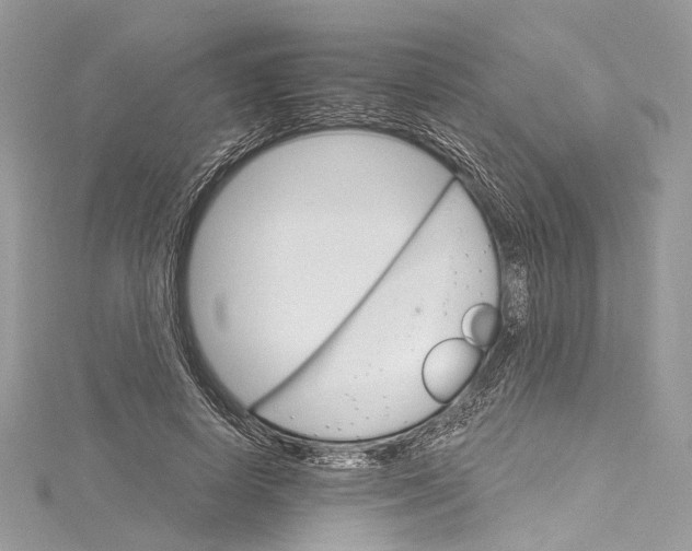 X0000115650642200912011523