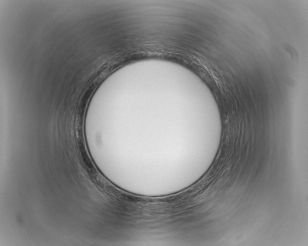 X0000115650643200912011523