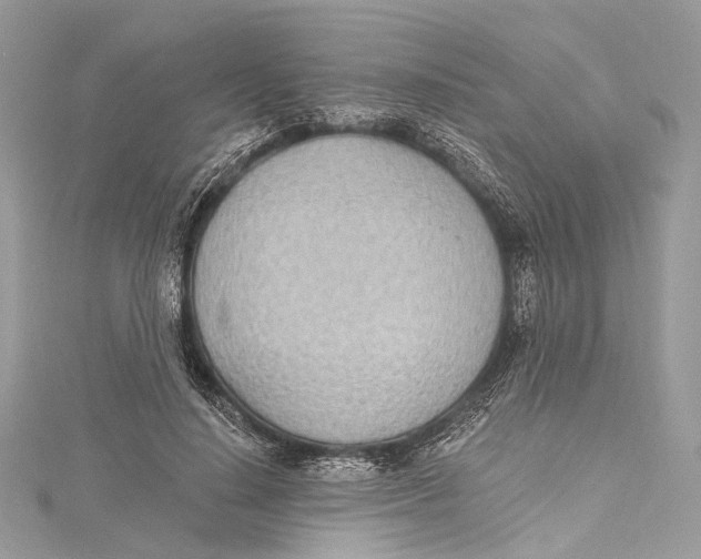 X0000115650644200912011523