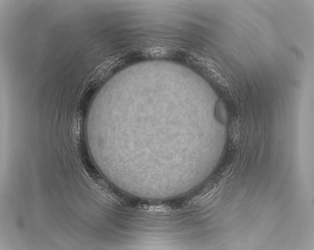 X0000115650645200912011523