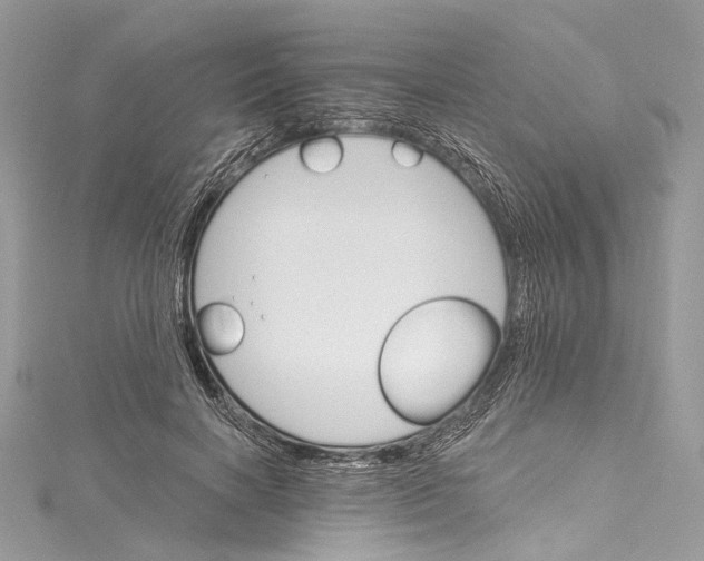 X0000115650646200912011523