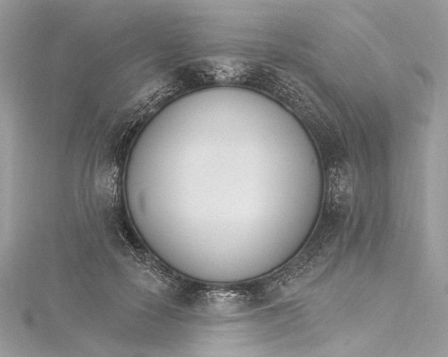 X0000115650650200912011523