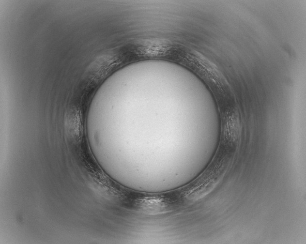 X0000115650651200912011523