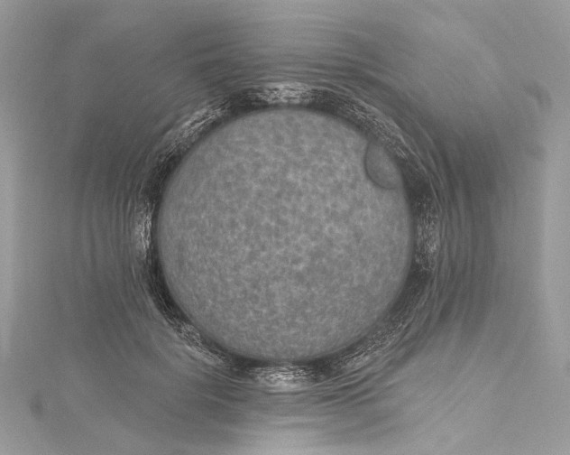 X0000115650652200912011523