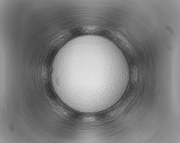 X0000115650653200912011523