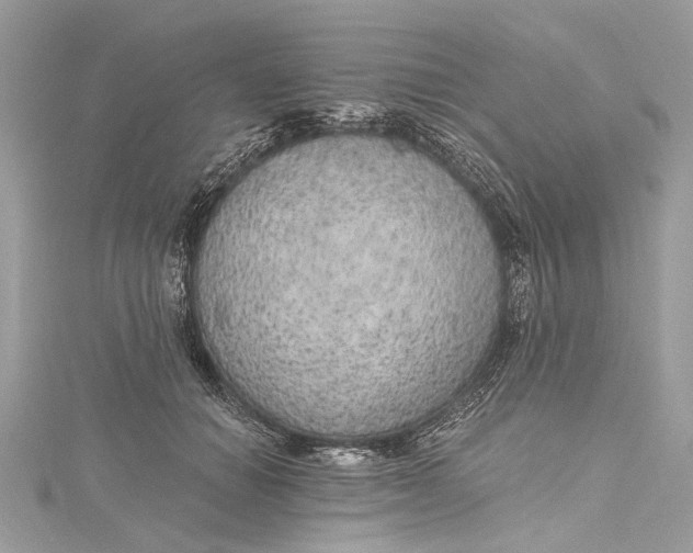 X0000115650654200912011523