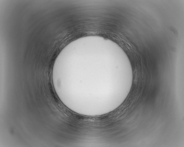 X0000115650655200912011523