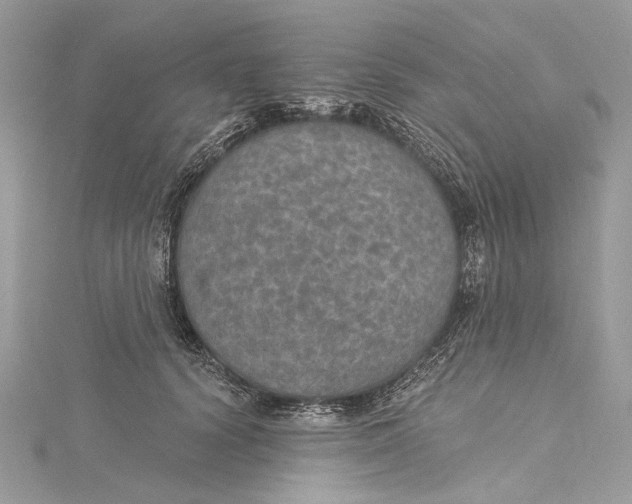 X0000115650656200912011523