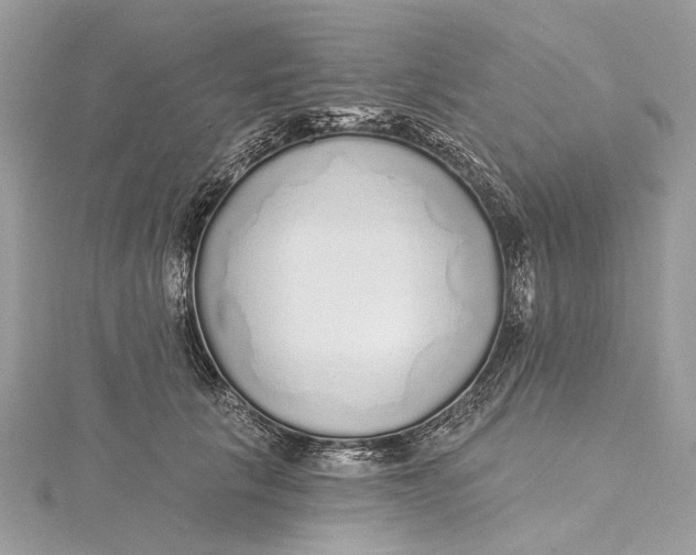 X0000115650657200912011523