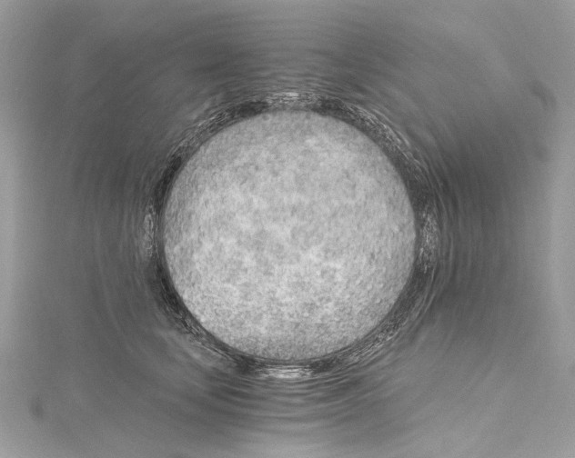 X0000115650659200912011523