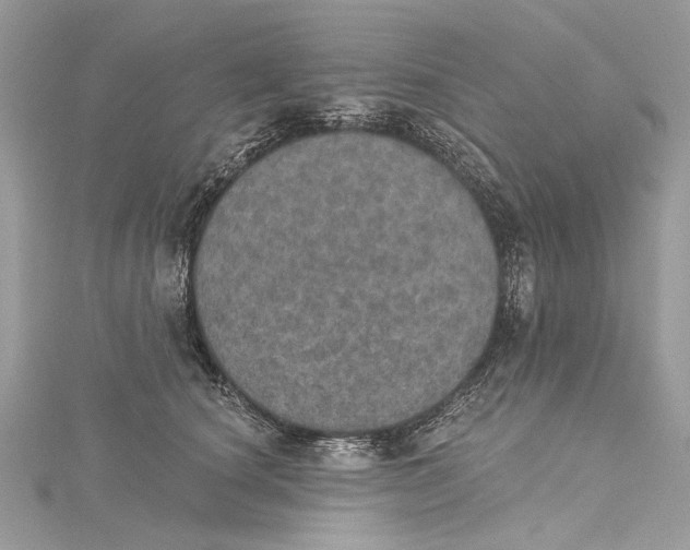 X0000115650660200912011523