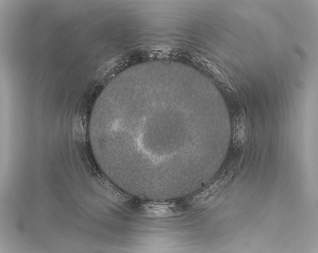 X0000115650661200912011523