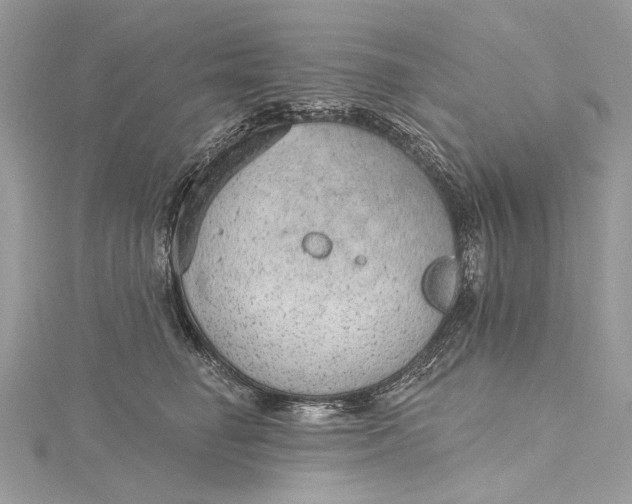 X0000115650662200912011523