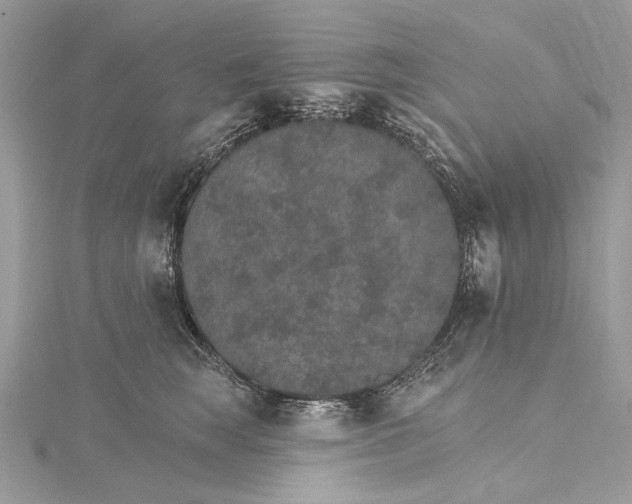 X0000115650663200912011523