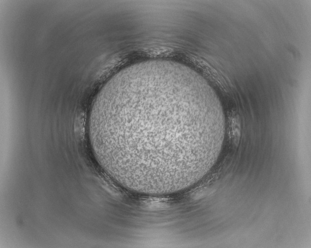 X0000115650664200912011523