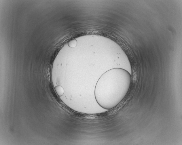 X0000115650666200912011523