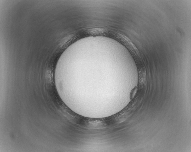 X0000115650669200912011523