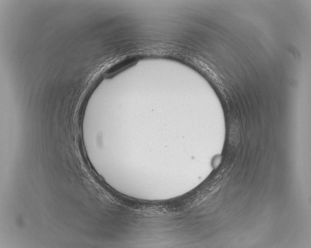 X0000115650673200912011523