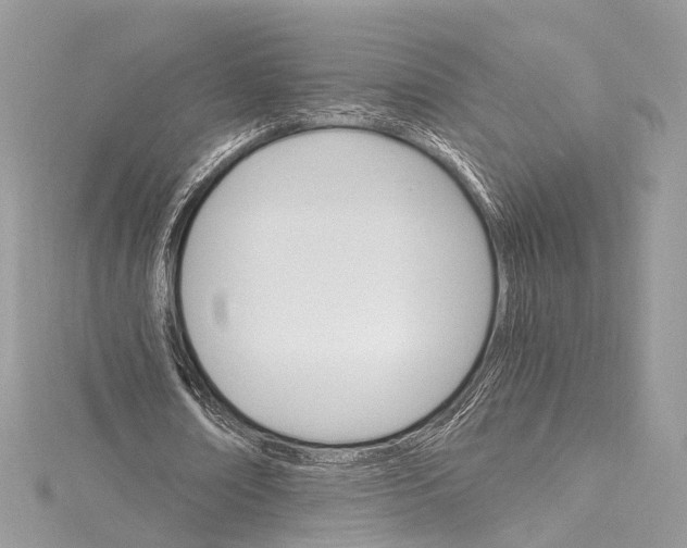 X0000115650674200912011523