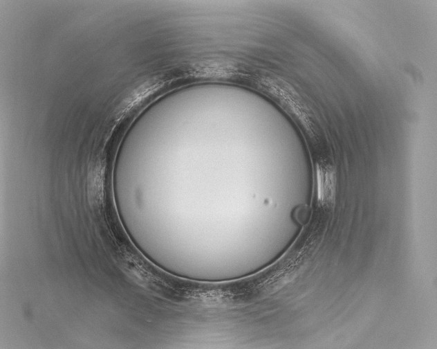 X0000115650675200912011523