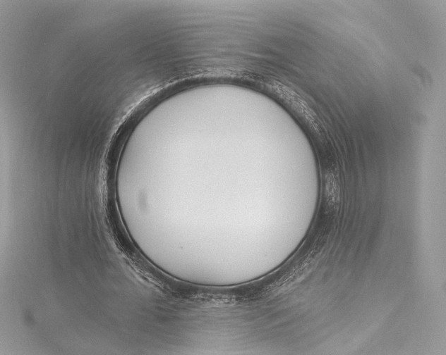 X0000115650676200912011523