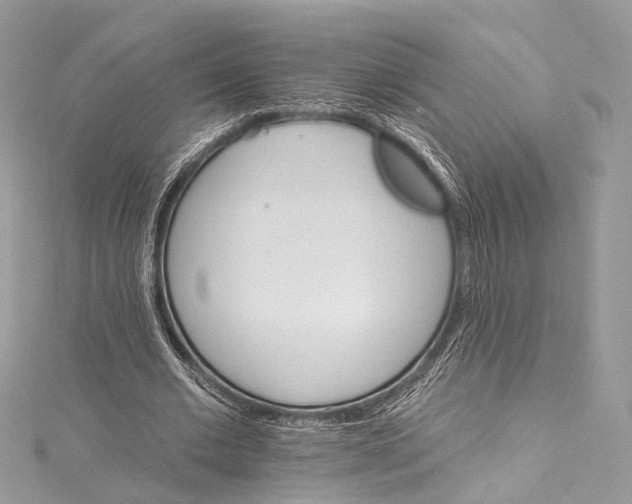 X0000115650677200912011522