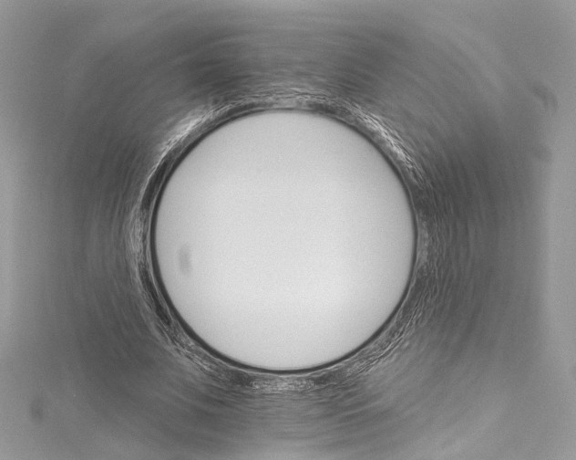 X0000115650679200912011522