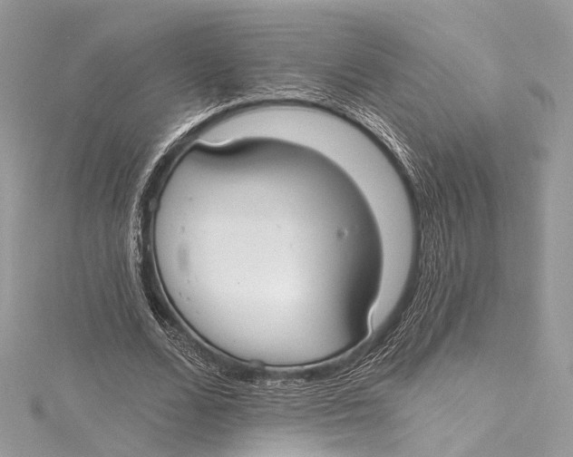 X0000115650680200912011522