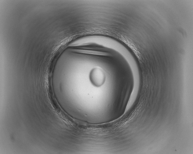 X0000115650681200912011522