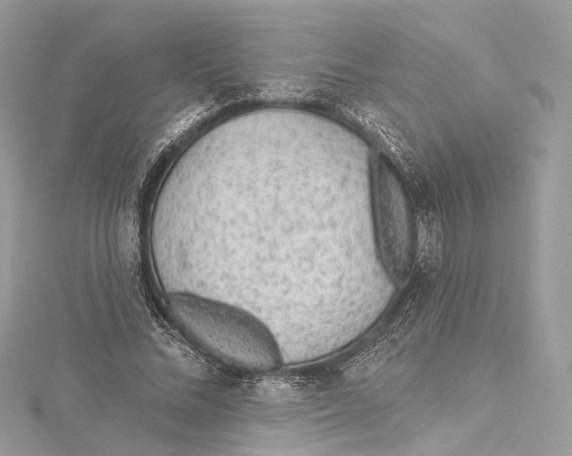 X0000115650684200912011522