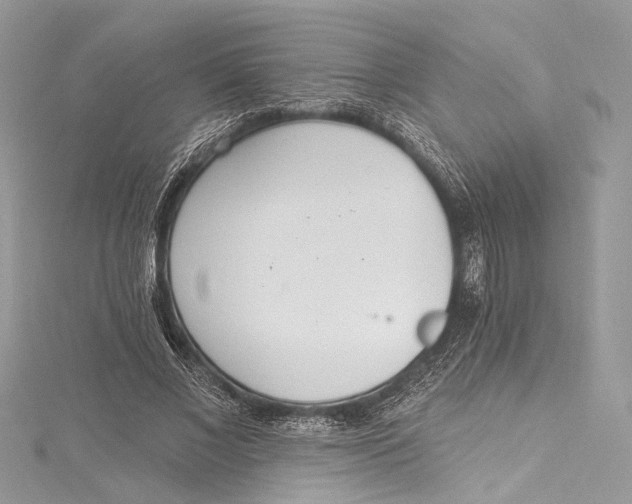 X0000115650685200912011522