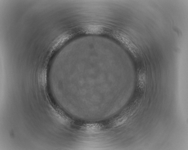 X0000115650686200912011522