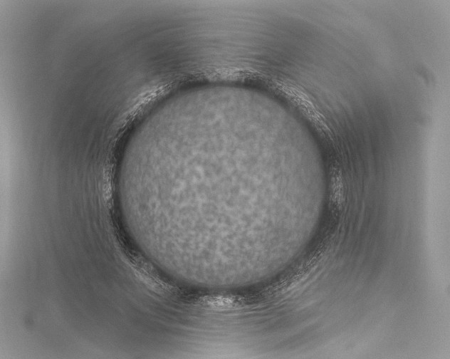 X0000115650687200912011522