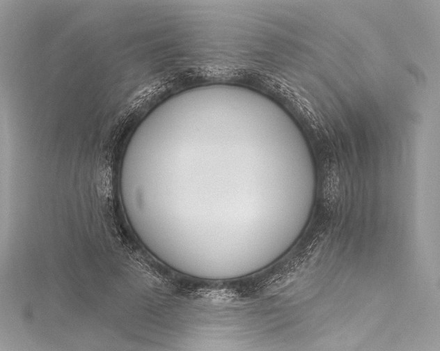 X0000115650689200912011522