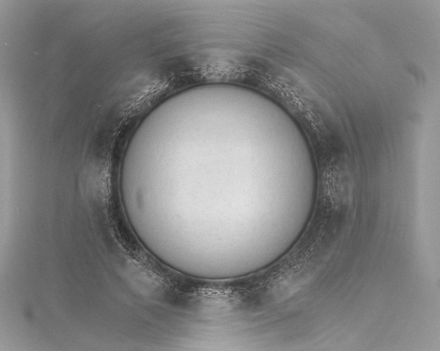 X0000115650690200912011522