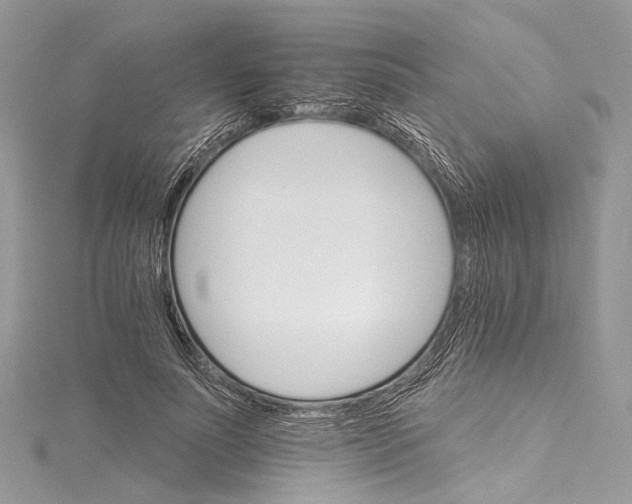 X0000115650691200912011522