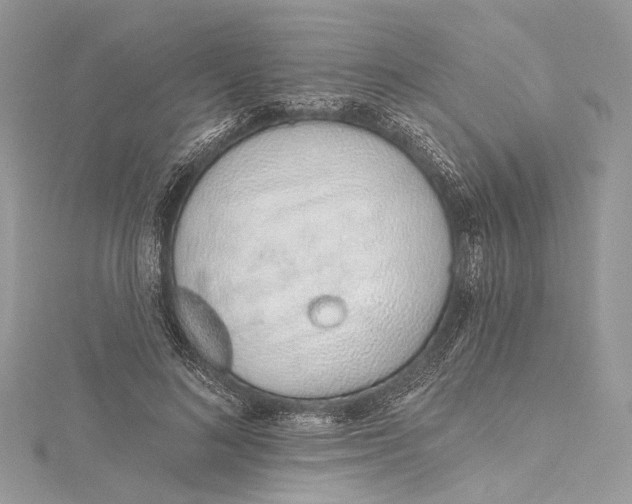 X0000115650692200912011522