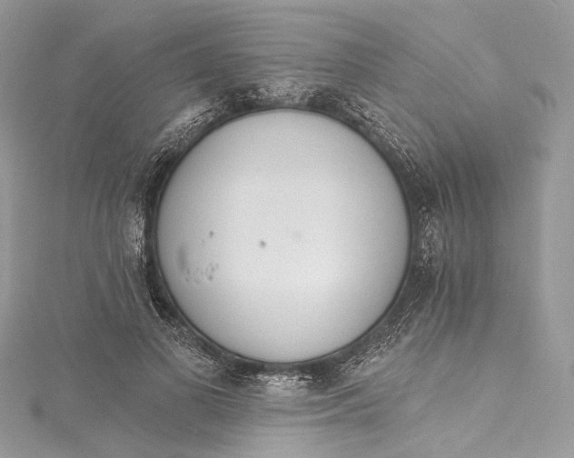 X0000115650693200912011522