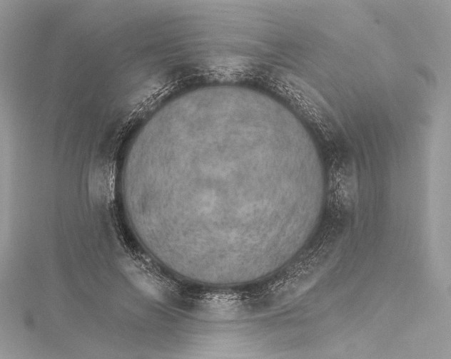 X0000115650694200912011522