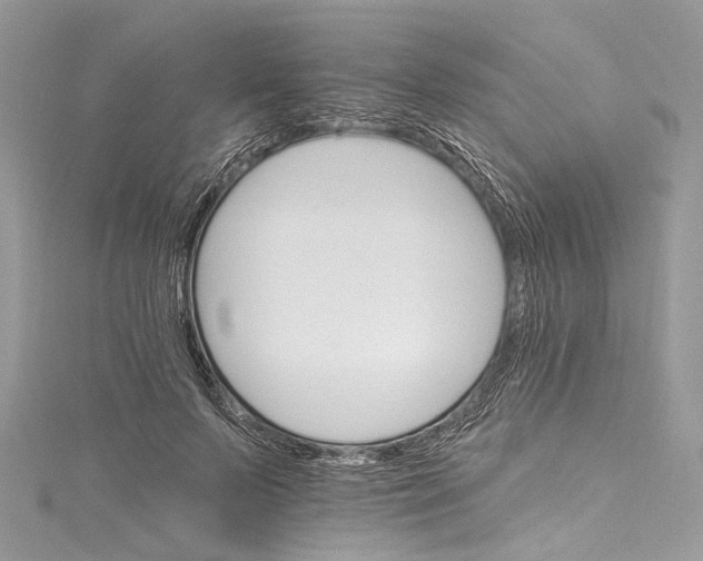 X0000115650695200912011522