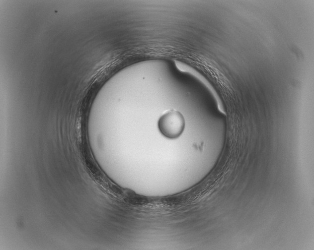 X0000115650696200912011522