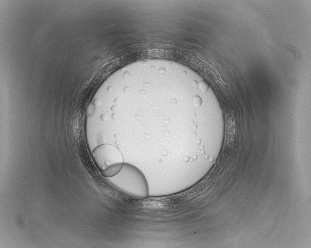 X0000115650698200912011522