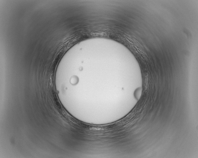 X0000115650699200912011522