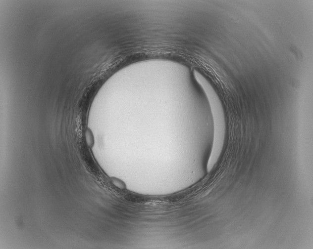 X0000115650700200912011522