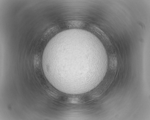 X0000115650701200912011522