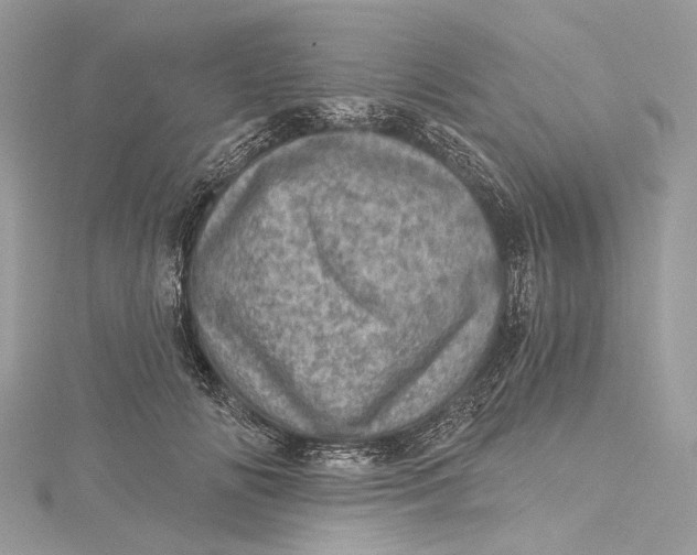 X0000115650702200912011522