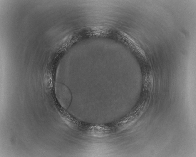 X0000115650703200912011522